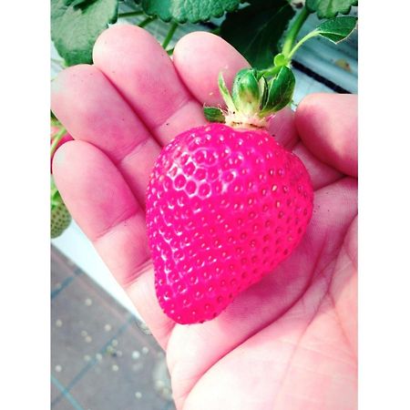 佐世保天堂花园大酒店 外观 照片