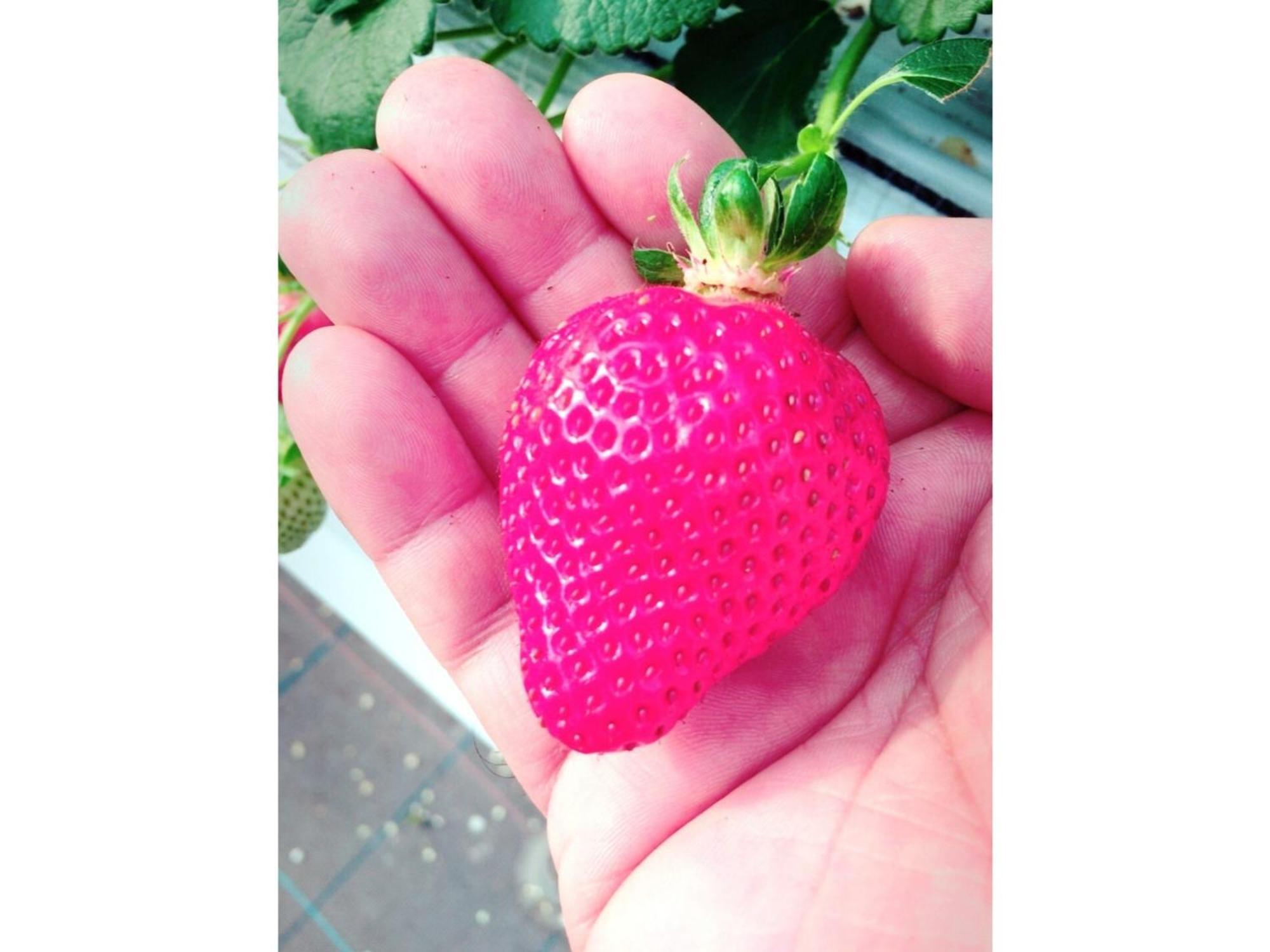 佐世保天堂花园大酒店 外观 照片